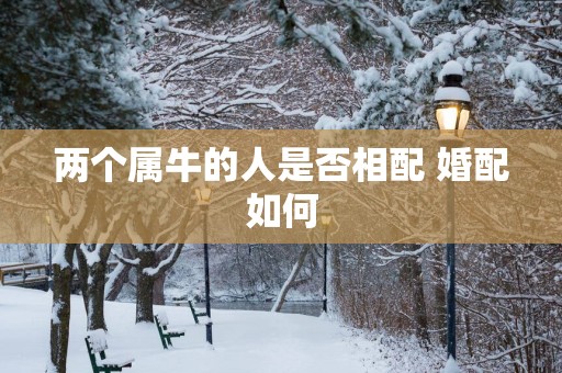 两个属牛的人是否相配 婚配如何
