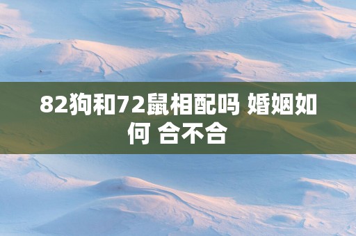 82狗和72鼠相配吗 婚姻如何 合不合