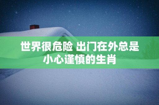 世界很危险 出门在外总是小心谨慎的生肖