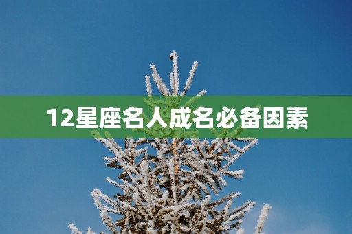 12星座名人成名必备因素