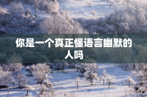 你是一个真正懂语言幽默的人吗