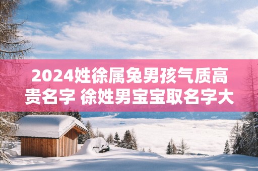 2025姓徐属兔男孩气质高贵名字 徐姓男宝宝取名字大全
