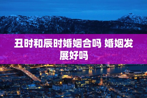 丑时和辰时婚姻合吗 婚姻发展好吗
