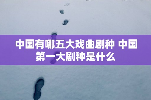 中国有哪五大戏曲剧种 中国第一大剧种是什么