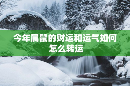 今年属鼠的财运和运气如何 怎么转运