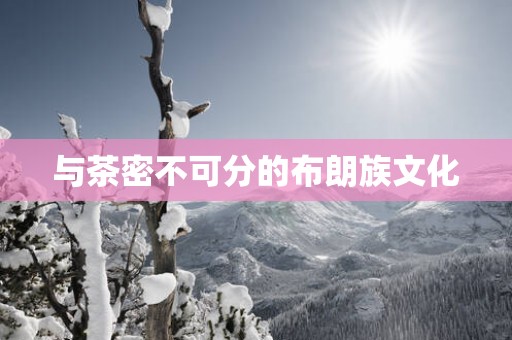 与茶密不可分的布朗族文化