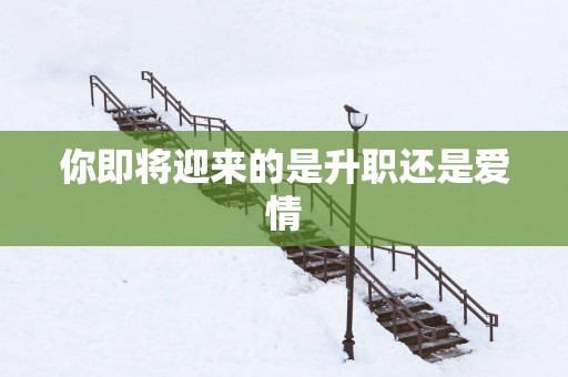 你即将迎来的是升职还是爱情 你即将迎来的是升职还是爱情