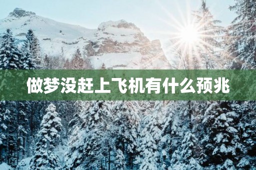 做梦没赶上飞机有什么预兆