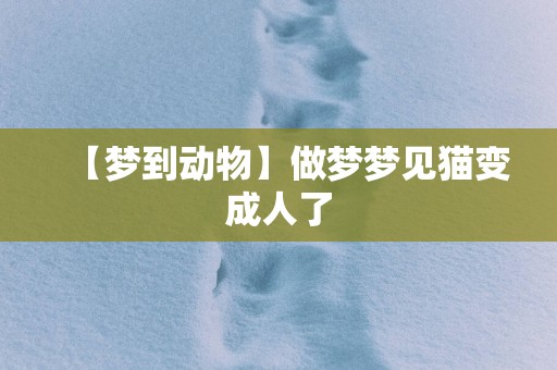 【梦到动物】做梦梦见猫变成人了