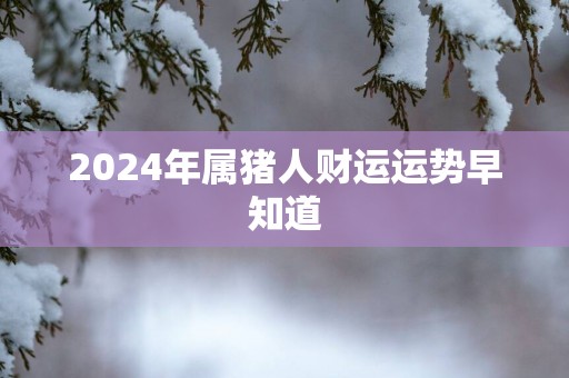 2025年属猪人财运运势早知道