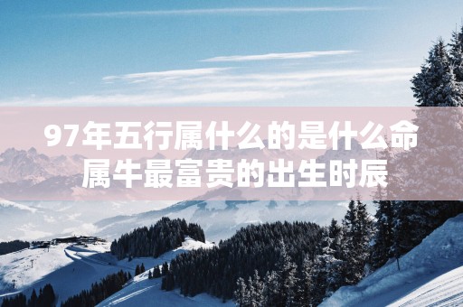 97年五行属什么的是什么命 属牛最富贵的出生时辰