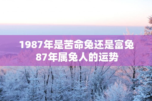 1987年是苦命兔还是富兔 87年属兔人的运势