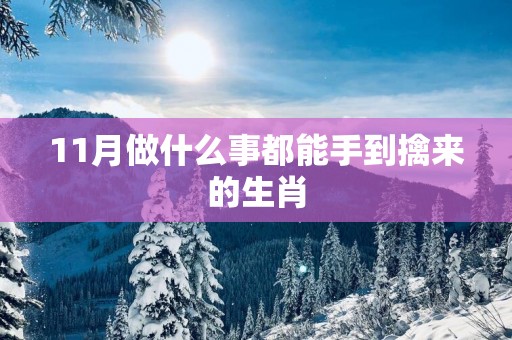 11月做什么事都能手到擒来的生肖