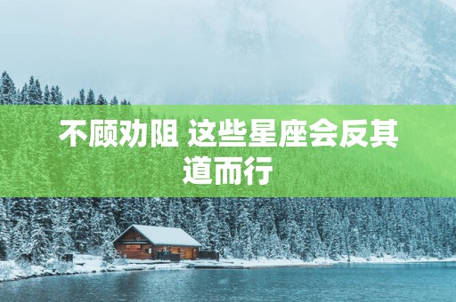 不顾劝阻 这些星座会反其道而行