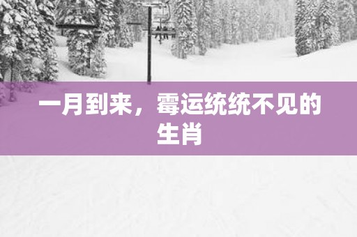一月到来，霉运统统不见的生肖