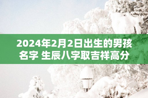 2025年2月2日出生的男孩名字 生辰八字取吉祥高分好名