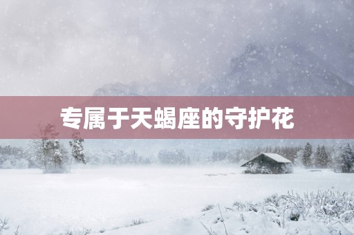 专属于天蝎座的守护花