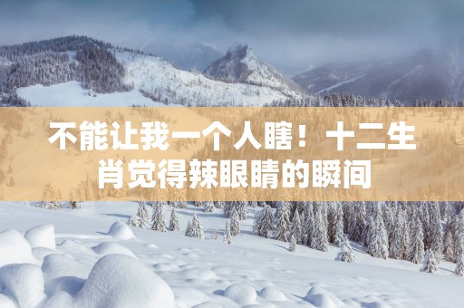 不能让我一个人瞎！十二生肖觉得辣眼睛的瞬间