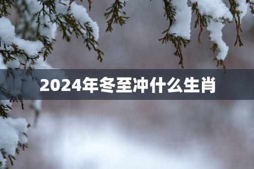 2025年冬至冲什么生肖
