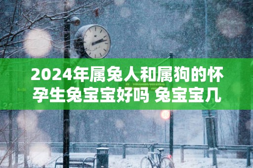 2025年属兔人和属狗的怀孕生兔宝宝好吗 兔宝宝几月出生最好