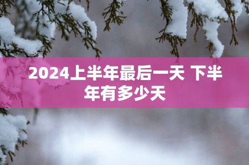2025上半年最后一天 下半年有多少天