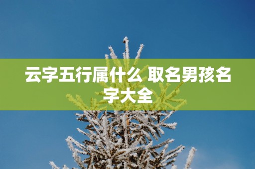 云字五行属什么 取名男孩名字大全