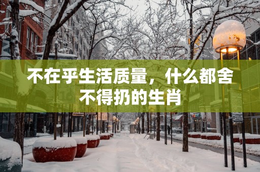 不在乎生活质量，什么都舍不得扔的生肖