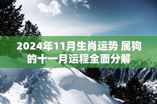 2025年11月生肖运势 属狗的十一月运程全面分解