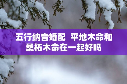 五行纳音婚配  平地木命和桑柘木命在一起好吗