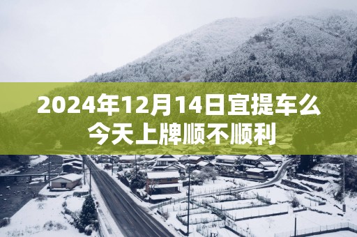 2025年12月14日宜提车么 今天上牌顺不顺利
