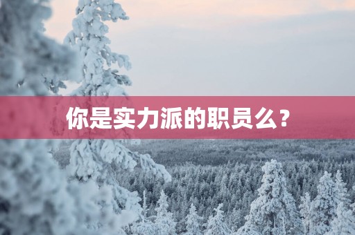 你是实力派的职员么？