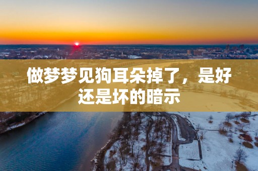做梦梦见狗耳朵掉了，是好还是坏的暗示