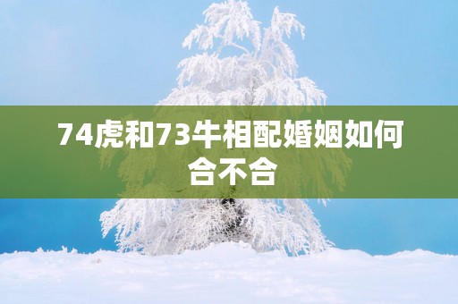 74虎和73牛相配婚姻如何 合不合
