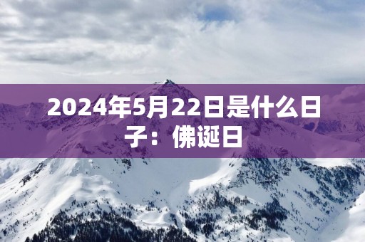 2025年5月22日是什么日子：佛诞日