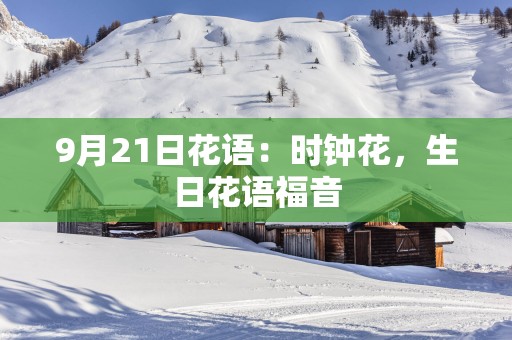 9月21日花语：时钟花，生日花语福音