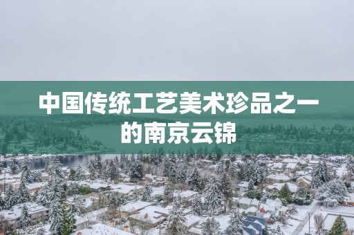 中国传统工艺美术珍品之一的南京云锦