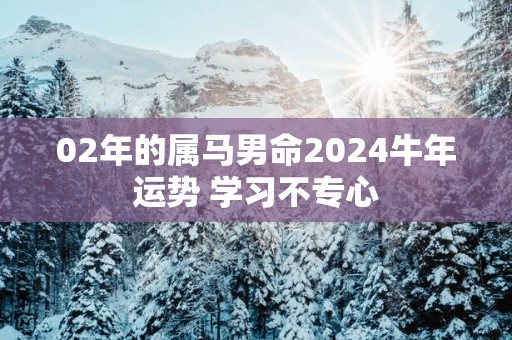 02年的属马男命2025蛇年运势 学习不专心