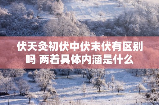 伏天灸初伏中伏末伏有区别吗 两着具体内涵是什么