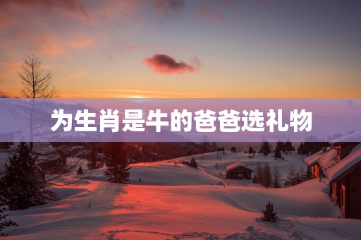 为生肖是牛的爸爸选礼物