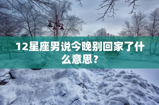 12星座男说今晚别回家了什么意思？