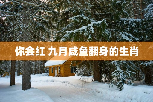 你会红 九月咸鱼翻身的生肖