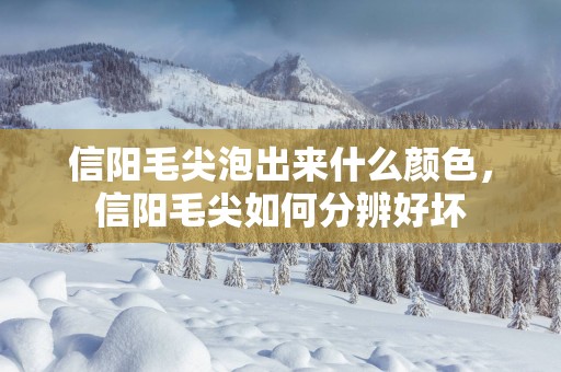 信阳毛尖泡出来什么颜色，信阳毛尖如何分辨好坏