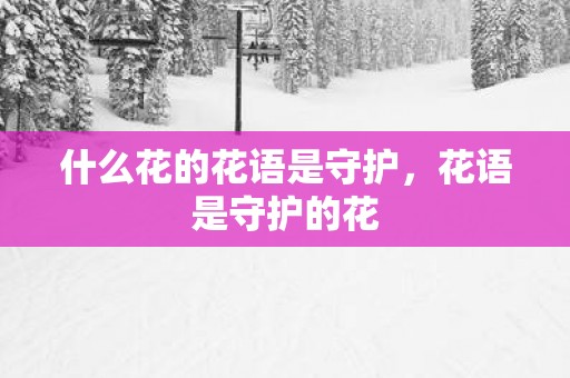 什么花的花语是守护，花语是守护的花