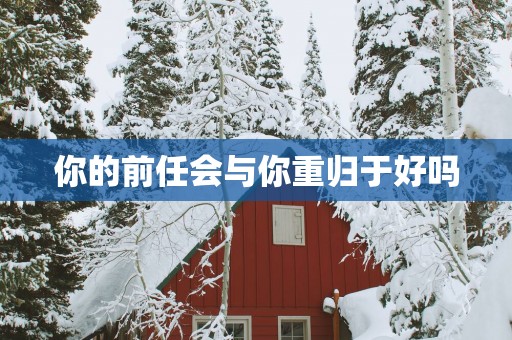 你的前任会与你重归于好吗