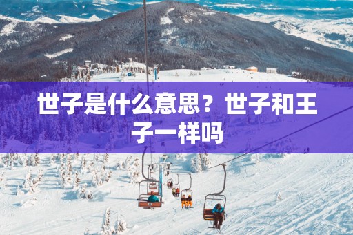 世子是什么意思？世子和王子一样吗