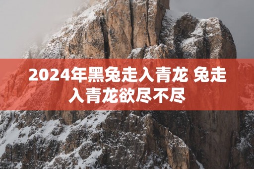 2025年黑兔走入青龙 兔走入青龙欲尽不尽