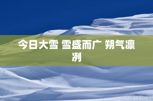 今日大雪 雪盛而广 朔气凛冽