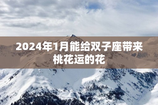 2025年1月能给双子座带来桃花运的花