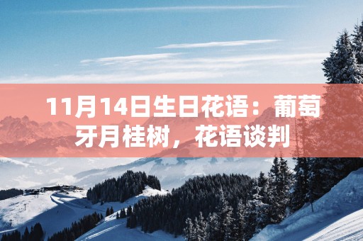 11月14日生日花语：葡萄牙月桂树，花语谈判