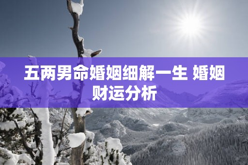 五两男命婚姻细解一生 婚姻财运分析